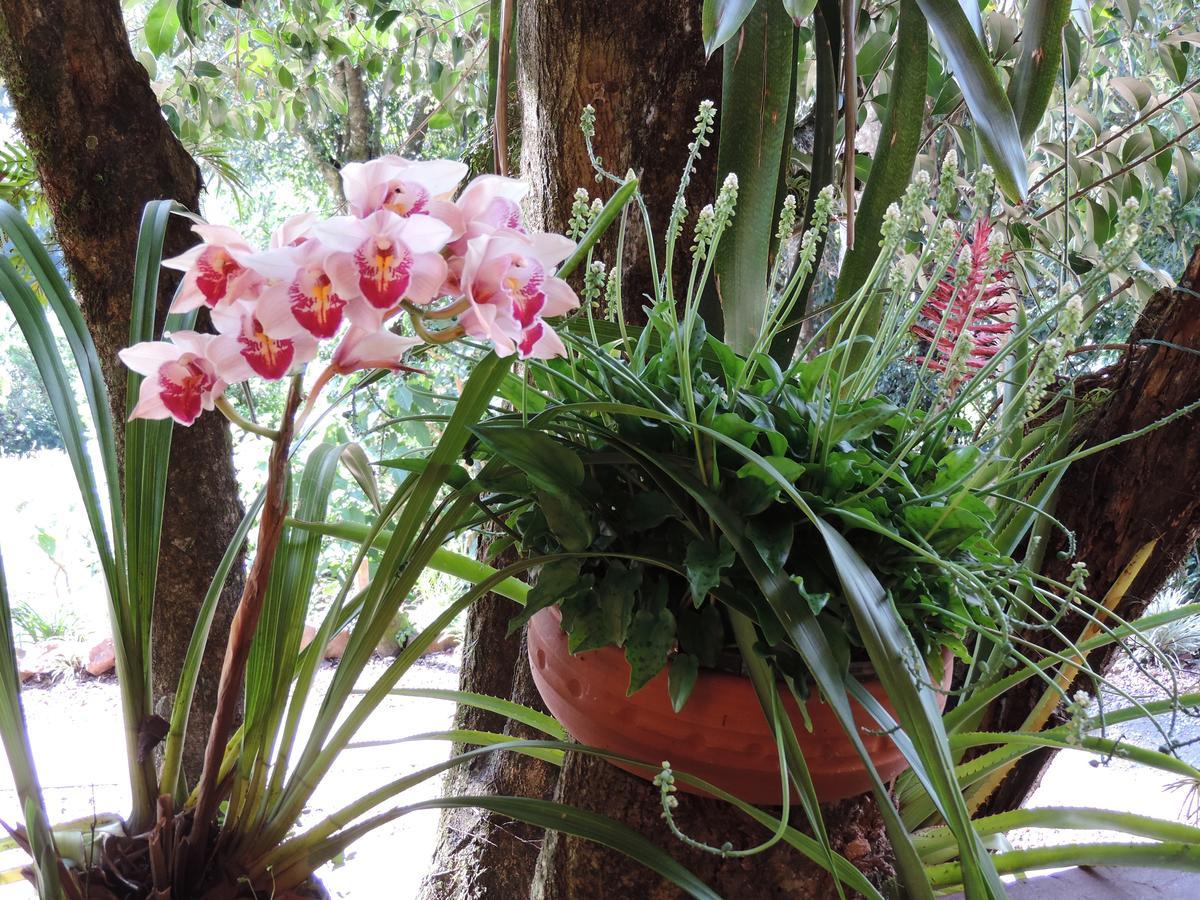 Pousada da Baronesa Nova Petropolis Bagian luar foto